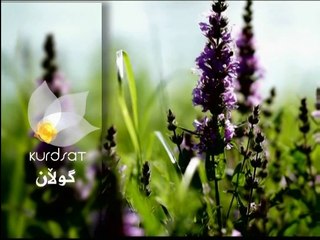 درامای سۆنگ یو ئەڵقەی 5