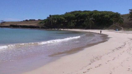La plage d'Anakena à l'île de Paques