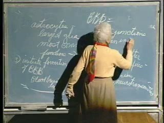 Lecture 19 - Nervous System II