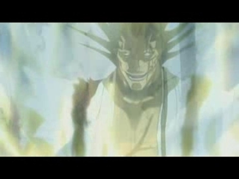 Ichigo le shinigami