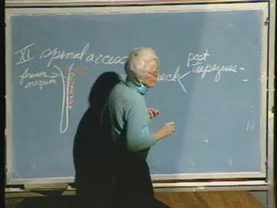 Lecture 22 - Nervous System V