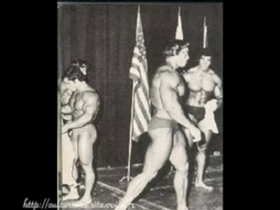 ARNOLD SCHWARZENEGGER