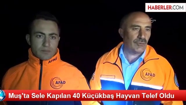 Muş'ta Sele Kapılan 40 Küçükbaş Hayvan Telef Oldu
