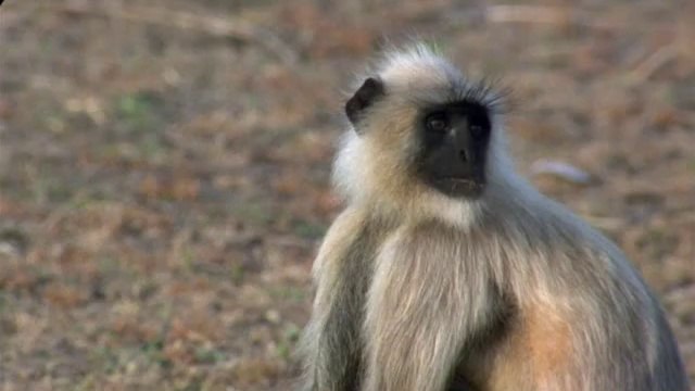】강북건마『아찔한밤』 검색∩논현건마 ∞부천건마사진