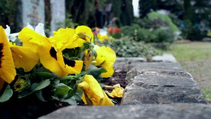 SEZAI - 'MUTTER' feat. MANUELLSEN __ MUTTERTAG SPECIAL