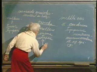 Lecture 28 - Nervous System XI