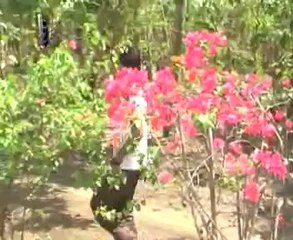 BARENG NERIMA susi yess & iput @ lagu tarling