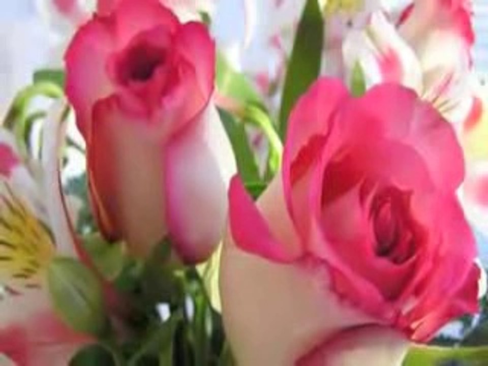 abhi na jao chor kar (shreya ghoshal)