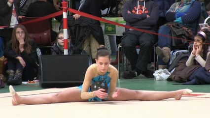 20140216-BONSECOURS-GR-Departement-FURET-Marine-Ballon