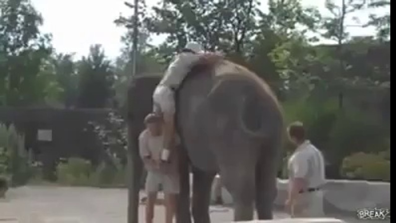 HA HA HA HA HA HA HA