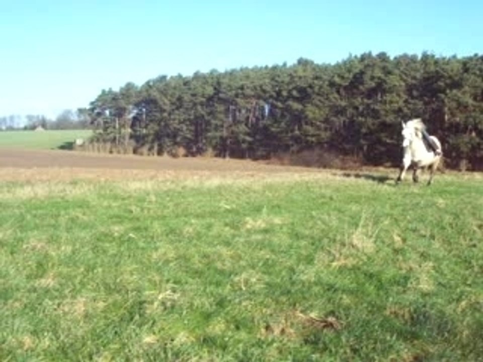 Moi et Trina "Jockey"