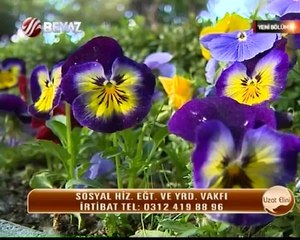 Uzat Elini 10.05.2014