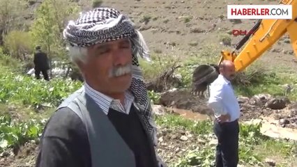 24 Yıl Aradan Sonra Gittikleri Köylerine Bin Fidan Diktiler