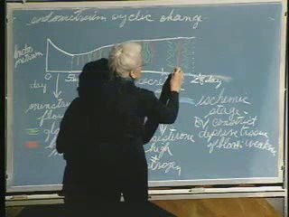 Lecture 33 - Female Reproductive System