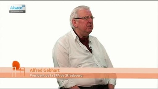 La maltraitance sur les animaux encore trop fréquente ?