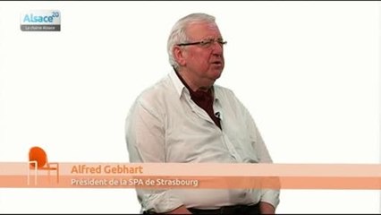 La maltraitance sur les animaux encore trop fréquente ?