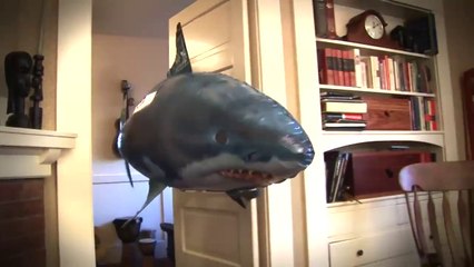 Air Swimmers: Il gioco che ogni bambino vorrebbe