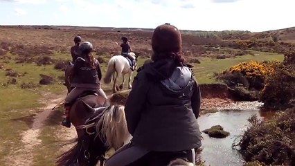 Au pas dans les landes anglaises
