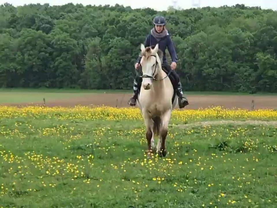 Cession au trot - mai 2014