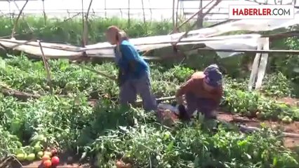 Antalya'da Hortum Seralara Zarar Verdi