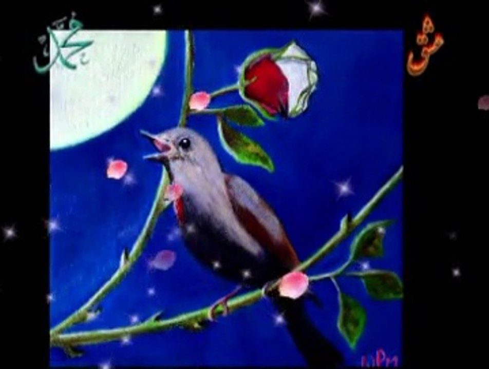 beni Habibime Kavuştur Ya Rab