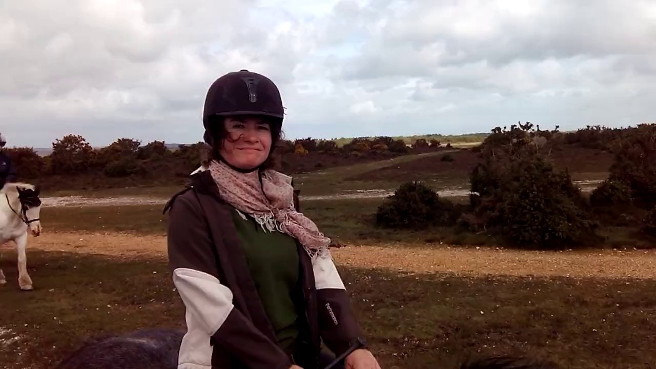 Un Petit Galop Tranquille dans la New Forest
