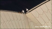 Ivre, il grimpe sur le toit de l'opéra de Sydney