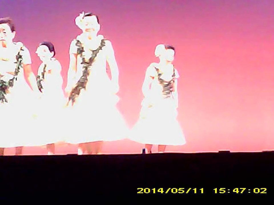 フラダンス動画