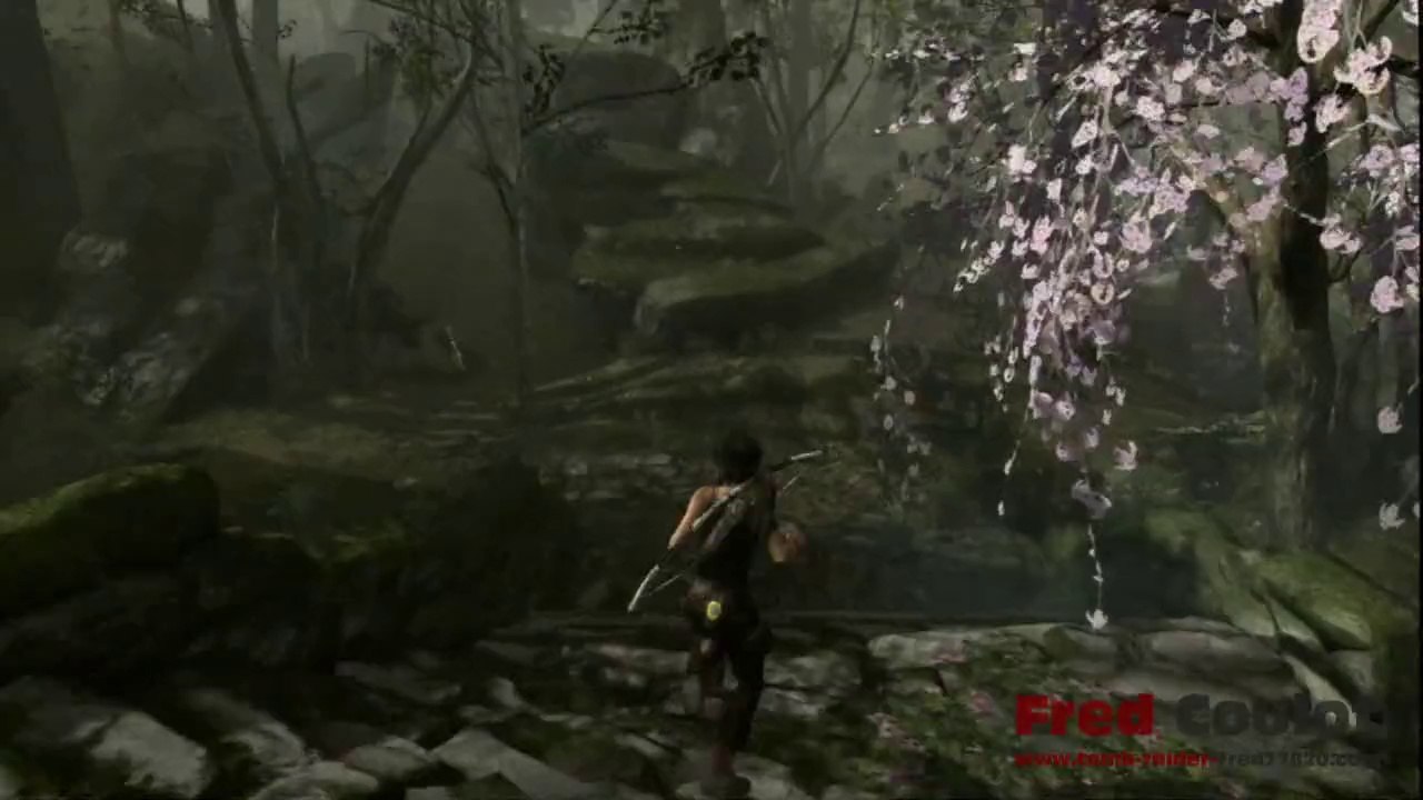 Tomb raider_2.7 La foret Littorale nord_Les 4 documents_une survivante est née