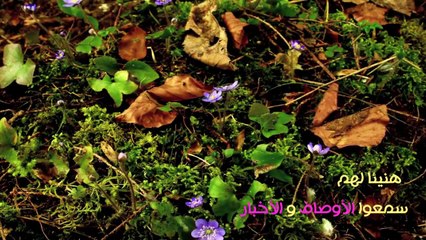 خالد الراشد # مقطع الى كل من ضعفت همته # اين المشمرين