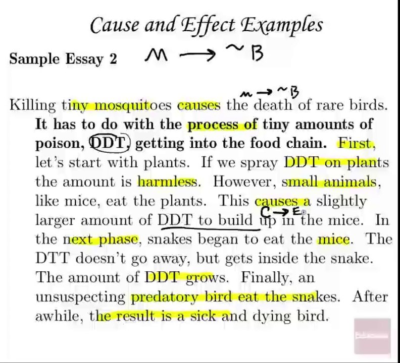 4.6 - POO - Cause and Effect, & Process