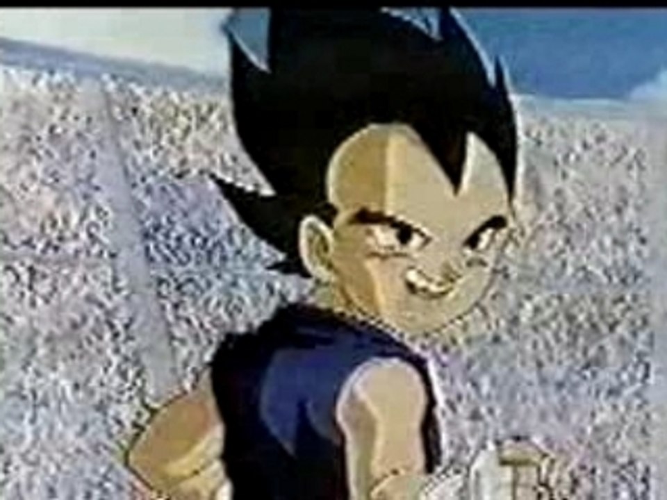 Vegetajr vs gokujr