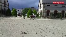 Lamballe. 150 engagés au concours de dressage au haras