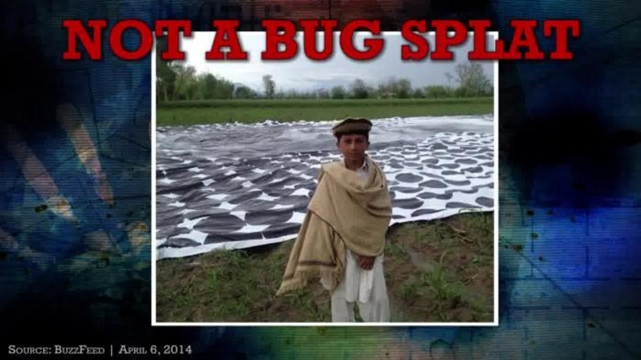 OTG Extra: #NotABugSplat