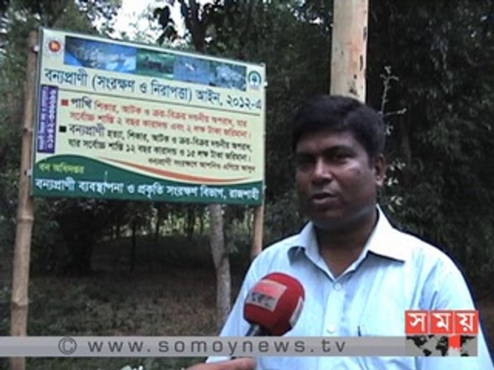নাটোরে পাখিদের অভয়াশ্রম