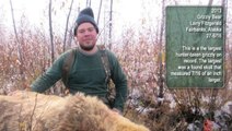 Hunter Bags World Record for Largest Grizzly Bear