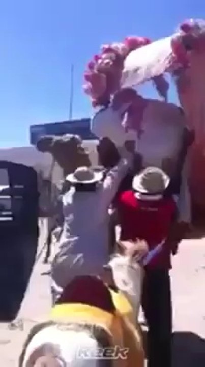 funny totay