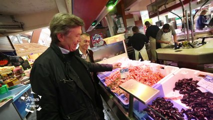 Terres de France E34 - A Quimper Partie 1