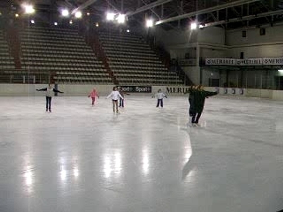 patin artistes