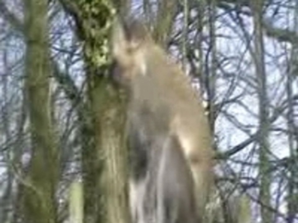 Les débuts franck & moi a pont-scorff