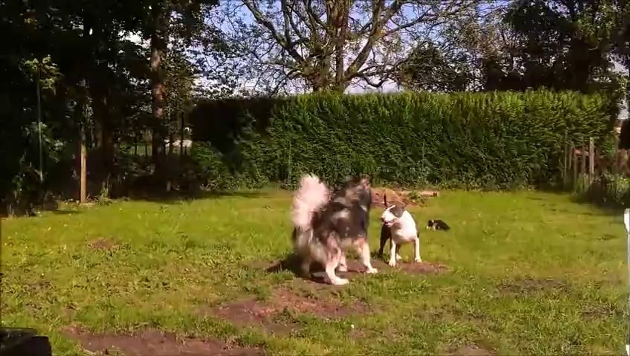 Play time