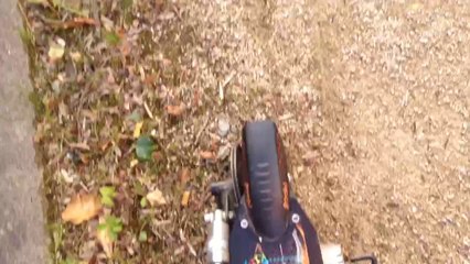 Présentation de la sxt test 2