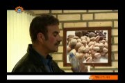 جراحت|Part 02|Irani Dramas in Urdu|SaharTV Urdu|Jarahat