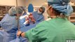 Mom Gives Birth To Rare 'Mono Mono' Identical Twins