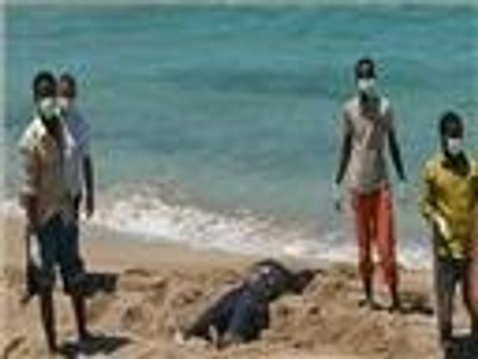 جثث لمهاجرين غير شرعيين قبالة سواحل طرابلس