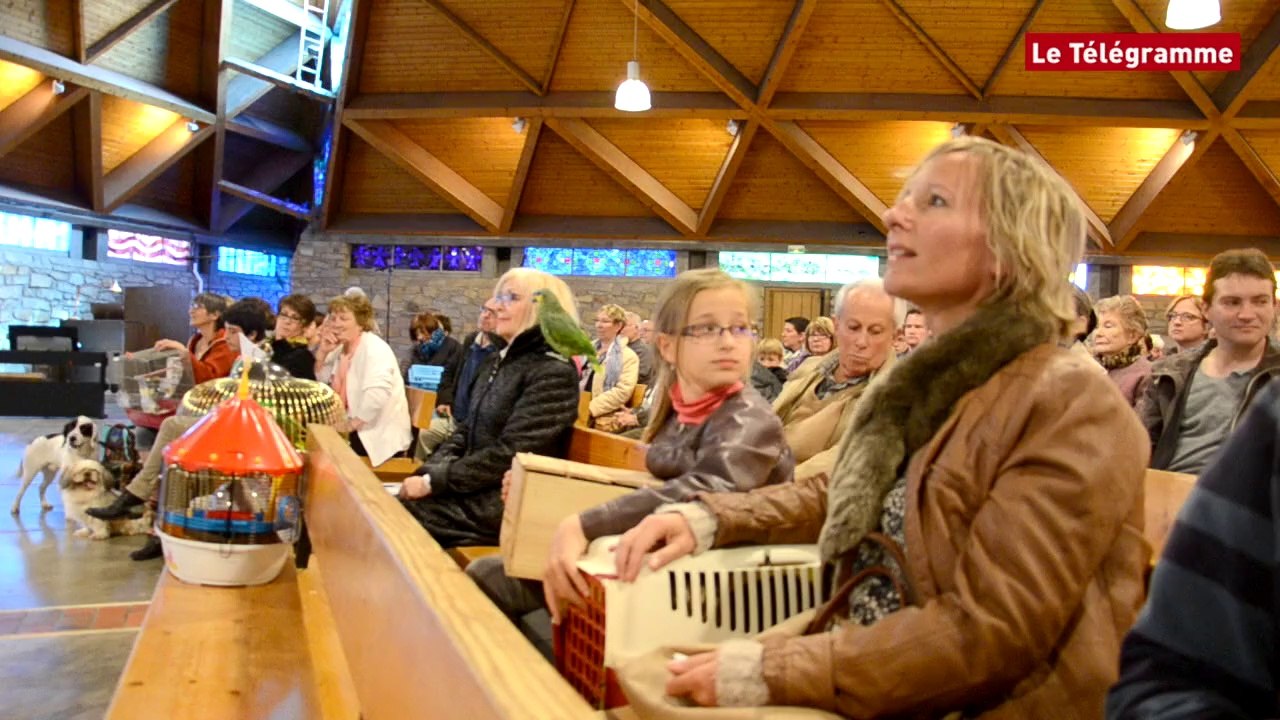 Vannes. Chiens, chats, perroquets, tortues bénis à l'église Saint-Guen