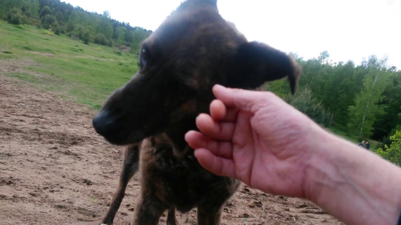 012 zwölfterTag mit Vestibular 11-05-2014 --- 17 - 30 uhr