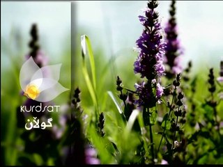 درامای سۆنگ یو ئەڵقەی 6