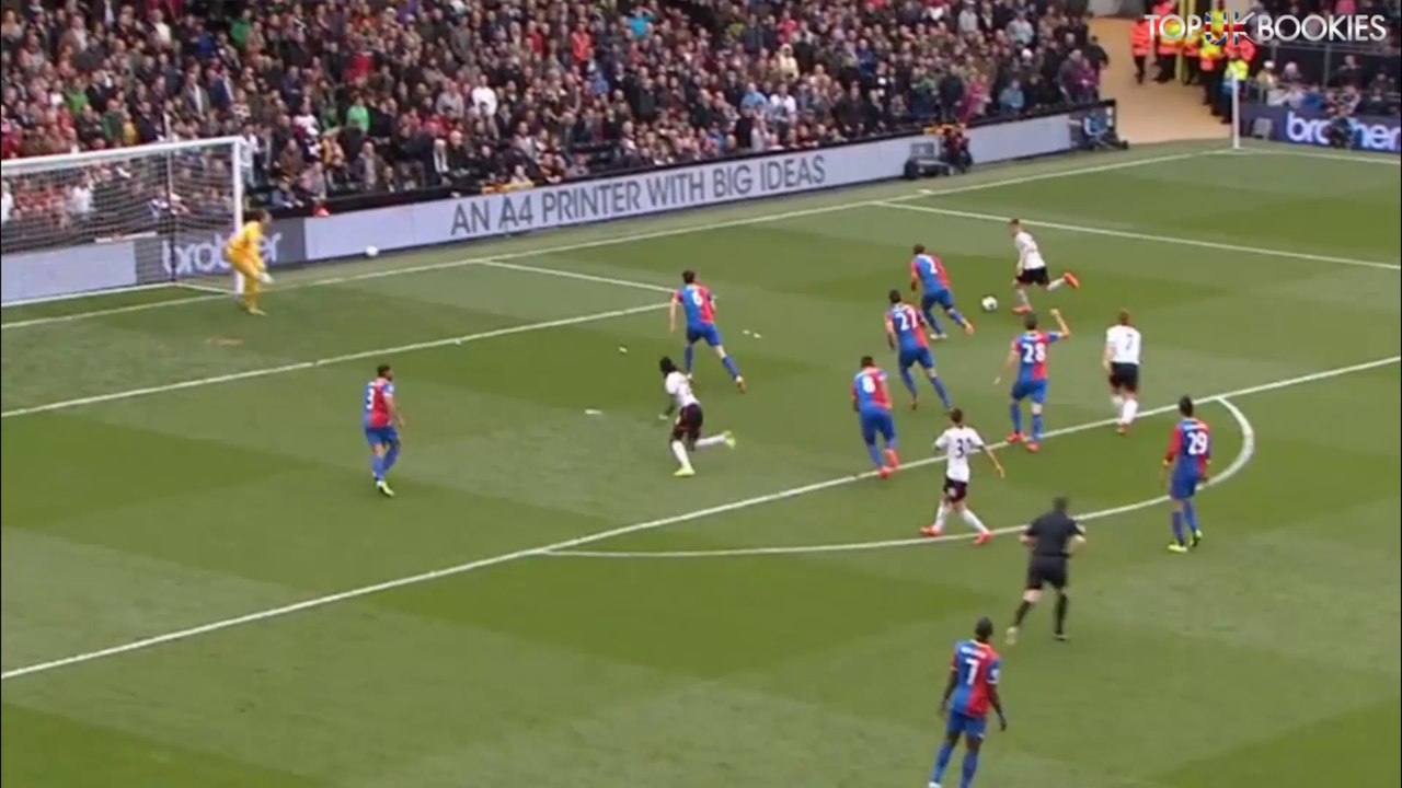 Cauley Woodrow Goal vs Crystal Palace - 010514