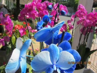 ANNELER GÜNÜ ÖZEL